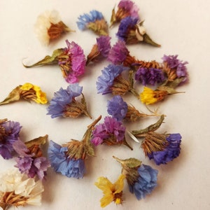 100 Dried Flowers, Flowers for resin jewelry, DIY Florist supply, Small dried flowers,dried flowers soap,dried flowers candle