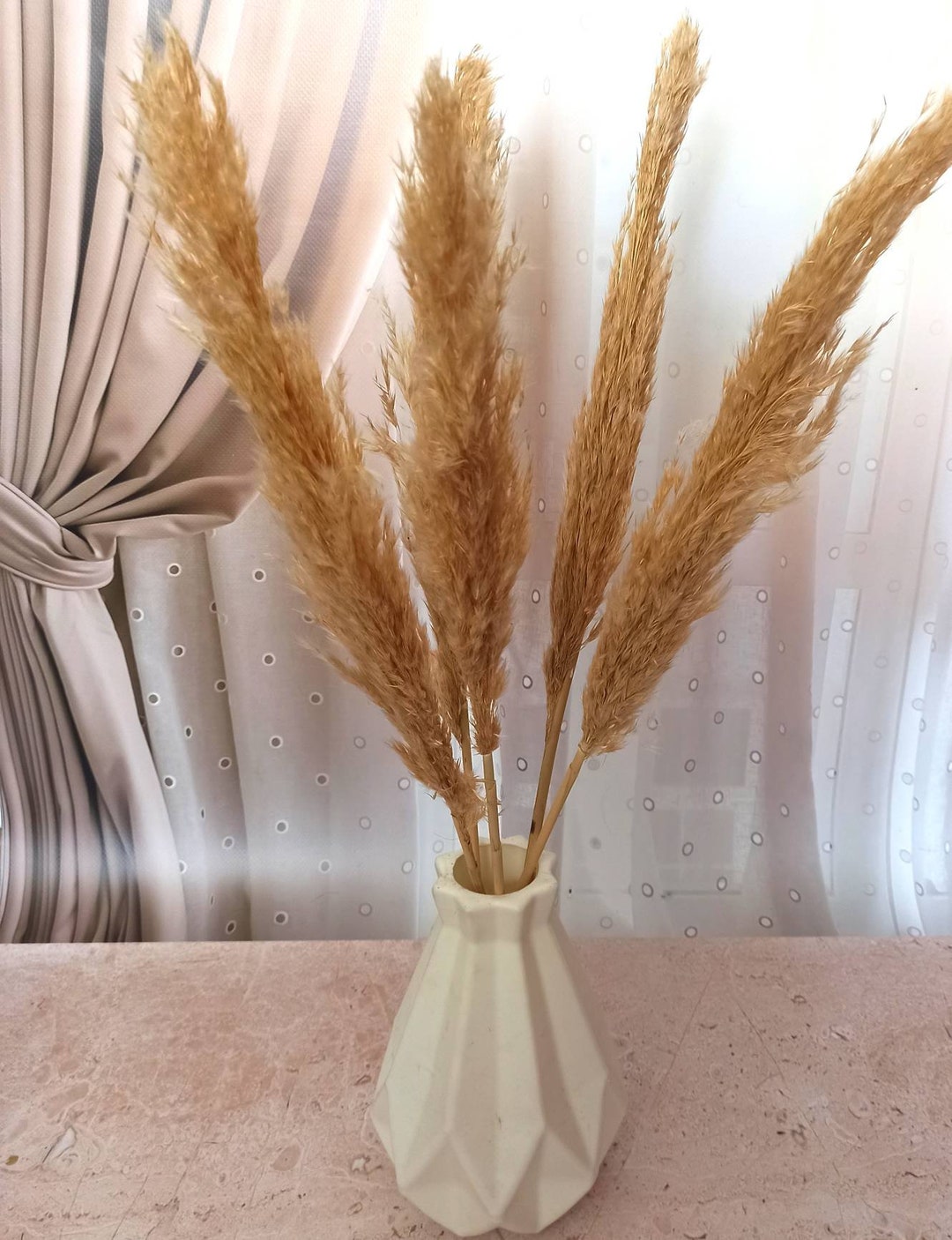 Dried Pampas,white Pampas Grass, Light Сolor Pampas,dried Pampas Grass