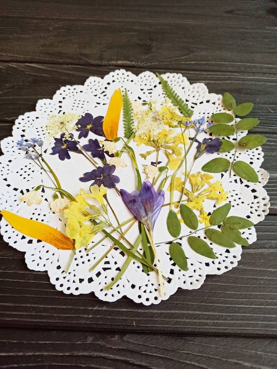 Pressed Flower, Pressed Flowers for Crafts, Pressed Flowers for