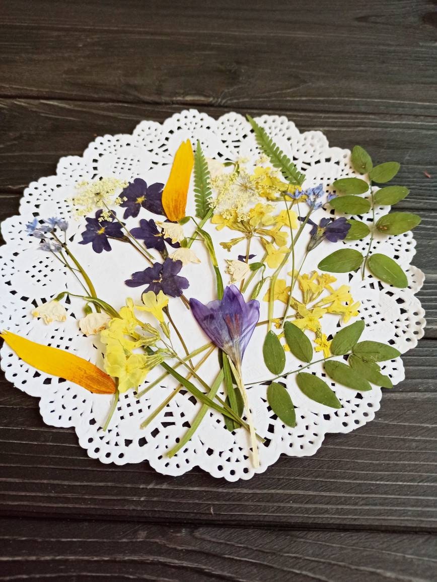 Pressed Flower, Pressed Flowers for Crafts, Pressed Flowers for Resin,  Mixed Dry Flowers, Pressed Flower Art, Dried Flower, Jewelry Making 