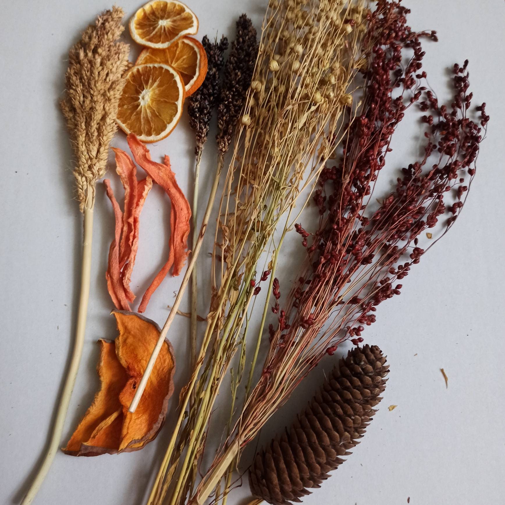 Organic Hamster Sprays Box Hamster Treats Etsy