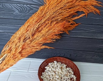 Pampas Grass,Orange-Yellow Pampas Grass,Fall decor, Feather pampas, Halloween decor, Halloween bouquet