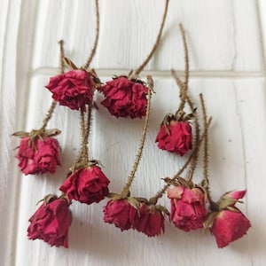 15 Dried burgundy roses.Tiny resin flowers.Organic small dried flowers. Resin supply plants.Real dry roses,Miniature Rose Buds,Dried Roses