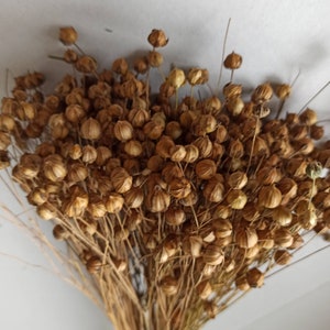 100 g Organic Flax Spray