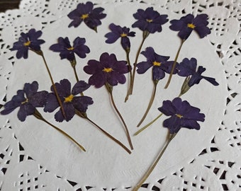 Purple dried flowers,dried pressed flowers,flowers epoxy resin,botanical Craft,pressed small flower,real pressed flowers,pressed wild flower