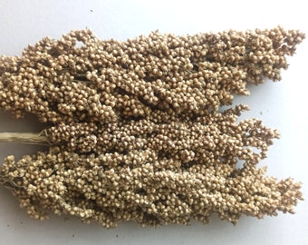 Organic Sorghum Sprays