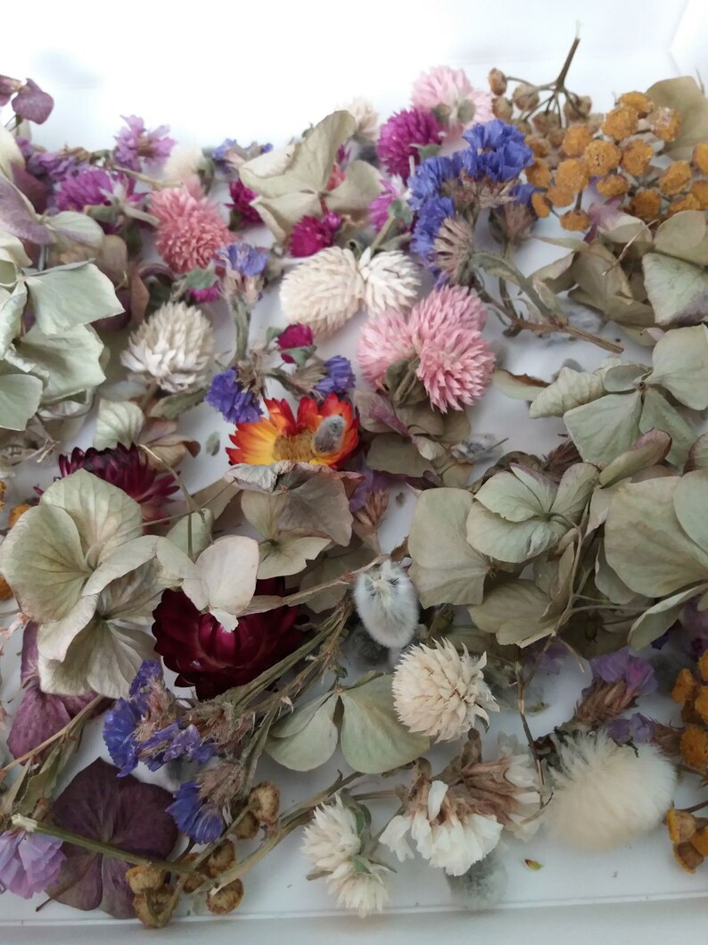 Tiny Dried Flowersmix Dry Flowersflowers for Resin Etsy