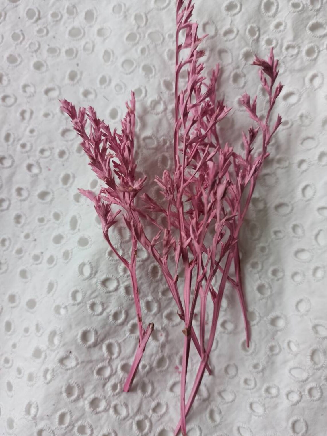 German Statice Statice Bouquet Dry Statice for Jewelry Etsy