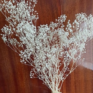 Preserved Dried Natural Gypsophila Baby Breaths \ Dried Flower Floral Design \ DIY Dried Flowers Wedding Bouquet
