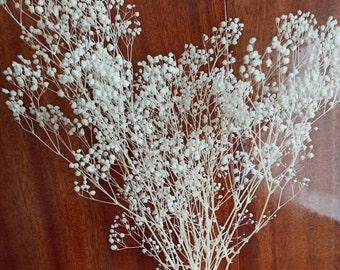 Gypsophila natural seca y preservada | Diseño floral con flores secas | Ramo de boda con flores secas DIY