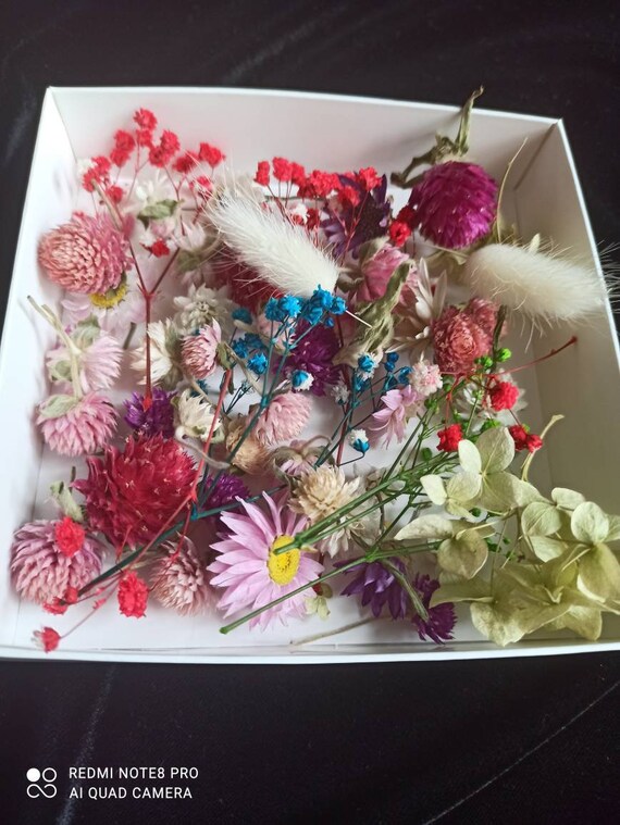 Floral - Supplies for Flower Drying and Arranging