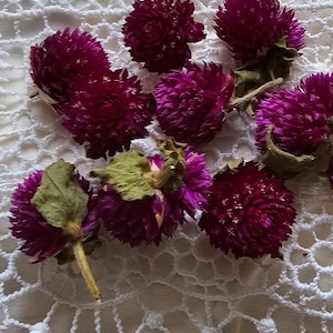 50 pcs Gomphrena heads,purple dried flowers,epoxy resin supply,tiny dried flowers,DIY Soap Making DIY Candle Making,purple dry flowers