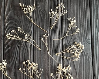 Fiori di gypsophila bianchi secchi, forniture per gioielli in resina, decorazioni floreali