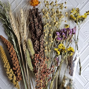 Könnte beinhalten: Eine Sammlung getrockneter Blumen und Gräser in verschiedenen Farben, darunter Gelb, Orange, Braun und Lila. Das Arrangement zeigt Weizen, Samenstände und zarte Blüten, ideal für Bastelarbeiten oder die Inneneinrichtung.