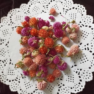 Kleine getrocknete Blumen,winzige getrocknete Blumen,Harz-Schmuckblumen,Epoxidharz Versorgung,trockene Miniblumen für Harz, echte gepresste Pflanzen,getrocknete Blumen