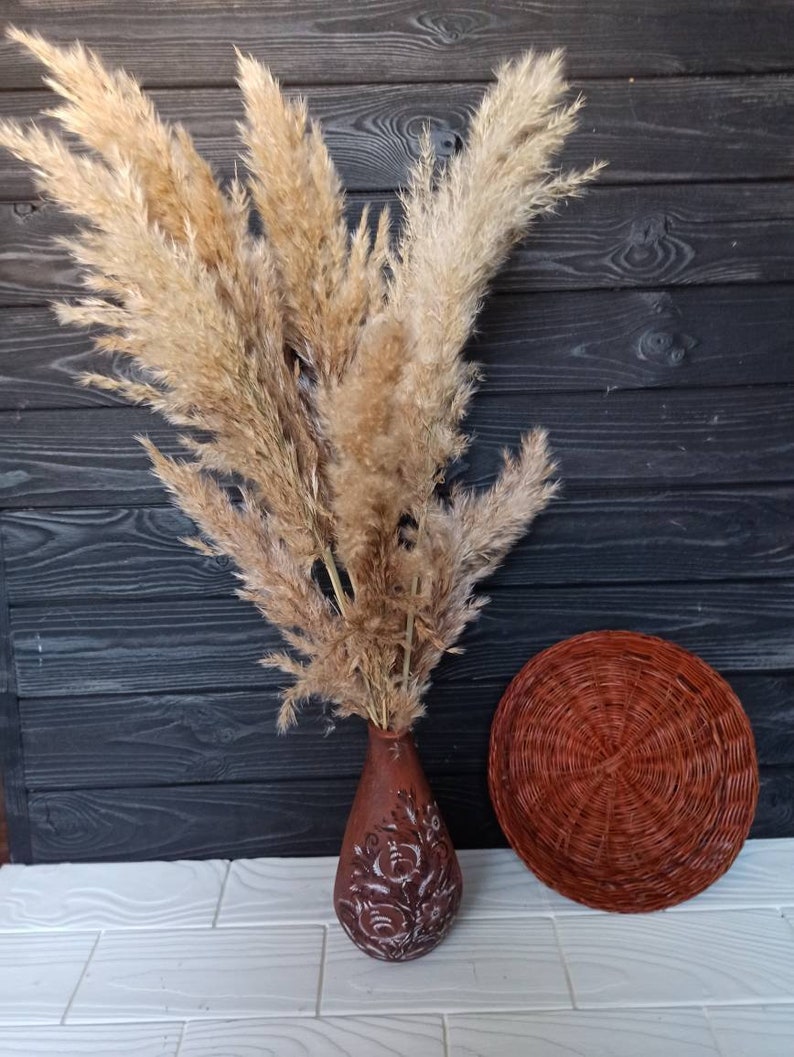 PAMPAS GRASS White Pampas Grass Pampas Grass Decor Etsy