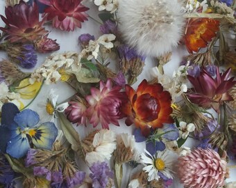 Small Dried Flowers,mix Dry Flowers,flowers for Resin,floral Decor