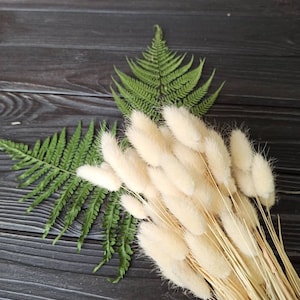 Flores secas de buzón, buzón de bricolaje seco, lagurus blanco, hierba de cola de conejo seca, hierba de cola de liebre, hierba de cola de conejo, decoración de flores de boda