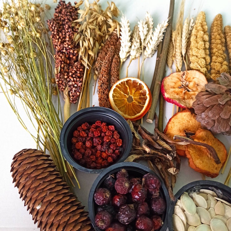 May include: A collection of dried natural elements, including wheat, oats, dried fruit, and pine cones. The items are arranged on a white surface and are ready to be used in a craft project.