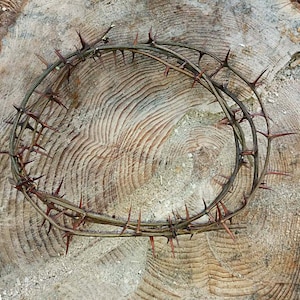Coroa de jesus cristo, espinho real afiado, coroa de espinhos, decoração de casa, proteção de porta, coroa de espinhos, páscoa cristã, adereço único rústico