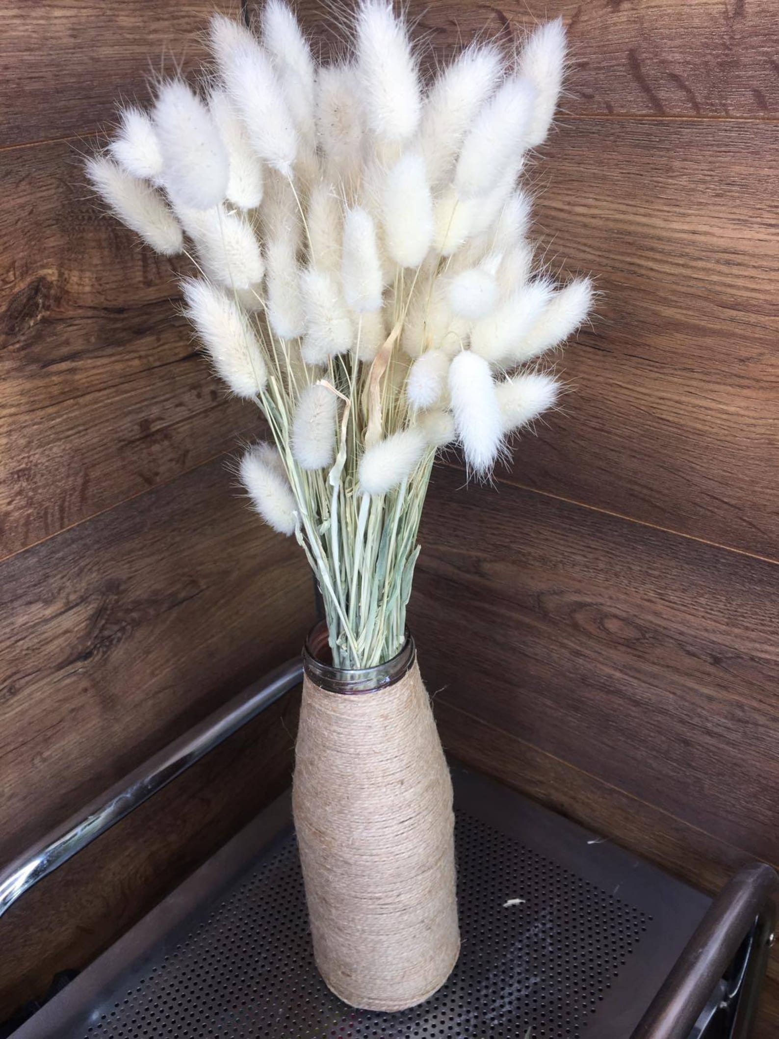 Bunny Tail Dried Flowers White Bunny Tail Grass White Etsy