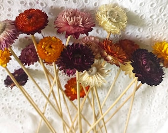 Letter Box Dried Flowers,Easter letterbox, Easter flowers letterbox, Flower Letterbox, strawflower bunch, strawflower stems