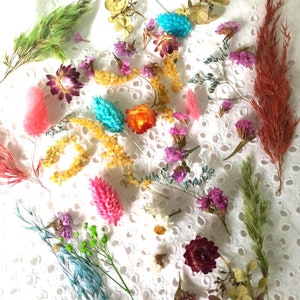 Tiny dried flowers, dry flower supply, Flowers for Soap, small dried flowers, Mix dry flowers,flowers for resin filling,floral decor,