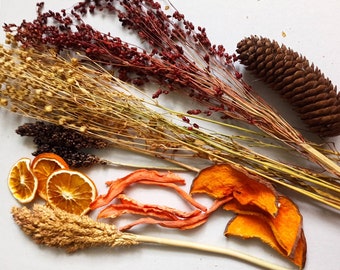 Könnte beinhalten: Eine Sammlung getrockneter natürlicher Elemente, darunter Orangenscheiben, getrockneter Kürbis, getrocknete Gräser und eine Kiefernzapfen. Die Gegenstände sind auf einer weißen Oberfläche angeordnet.