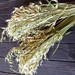 Organic Dried Oat Bundle, Hamster & Chinchilla Sprays