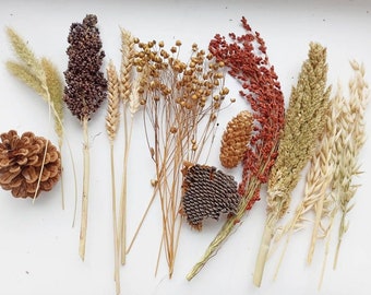 Organic Millet Sprays, Bird, Hamster, Chinchilla Treats