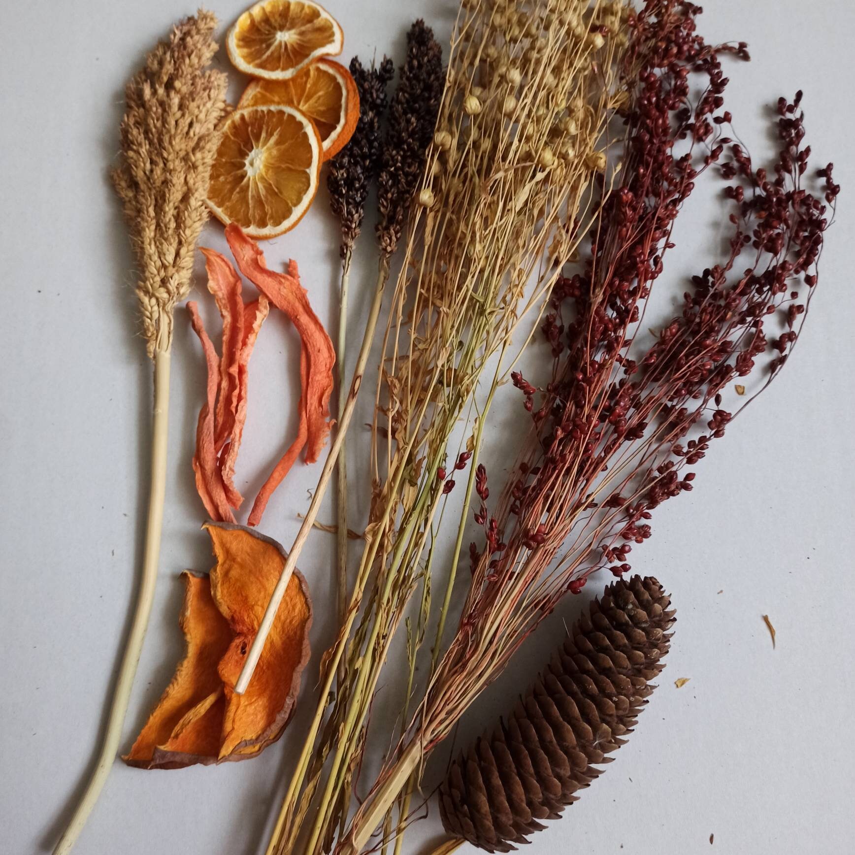 Organic Hamster Sprays Box Hamster Treats Etsy