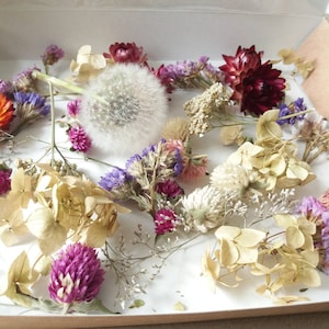Pode incluir: Uma coleção de flores e plantas secas em uma caixa branca. As flores são de várias cores, incluindo rosa, roxo, branco e amarelo. As plantas são principalmente verdes e marrons.