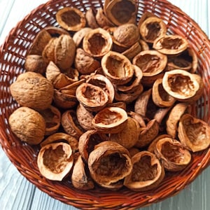 Walnut shell halves, Walnut halves creativity, Walnut Slices
