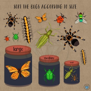 Tri d'insectes, activité de dimensionnement, documents à imprimer pour les enfants d'âge préscolaire, cartable occupé, maternelle, école à la maison, activité pour enfants, imprimable, PDF, téléchargeable