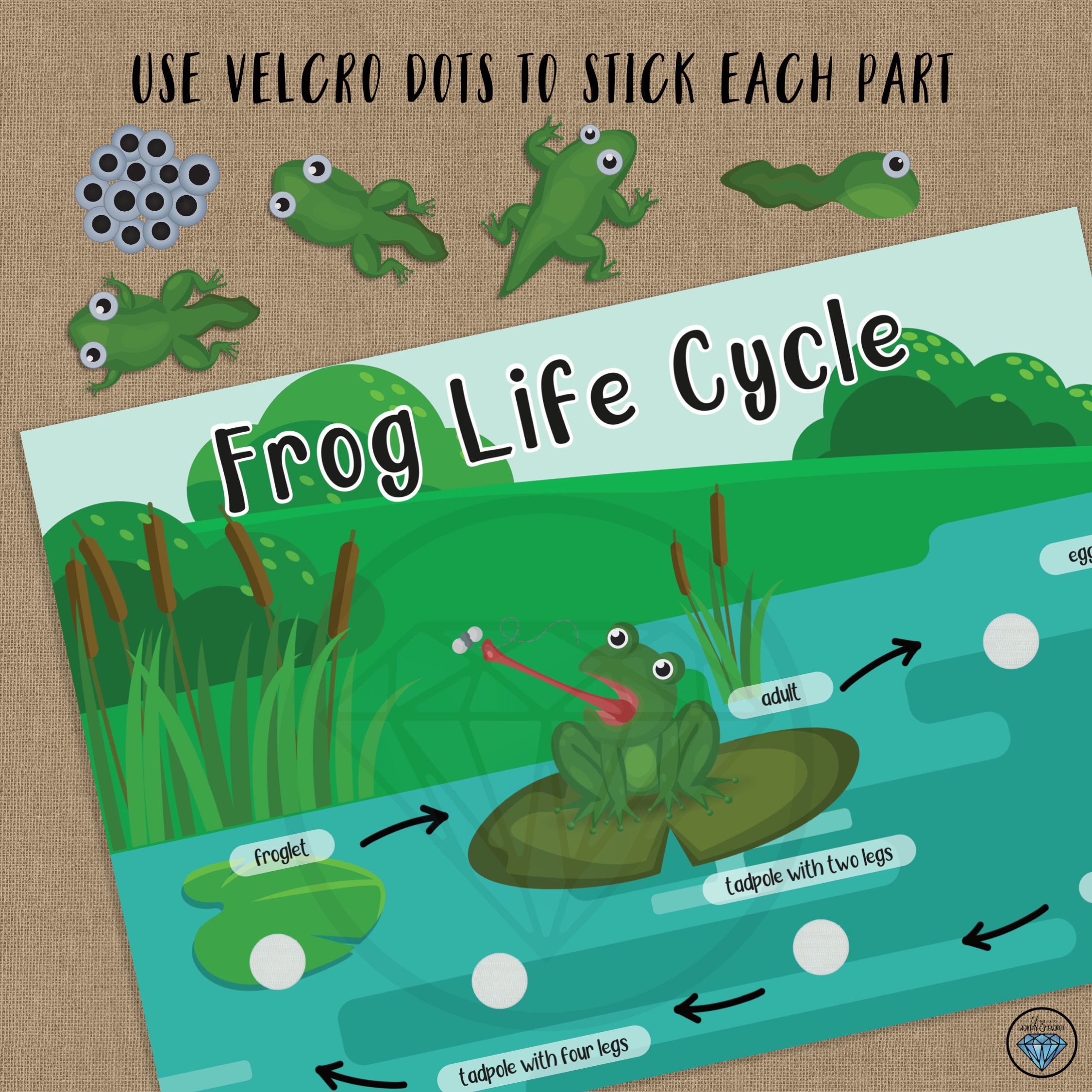 Frog Life Cycle Life Cycle Stages Preschool Printables Busy Etsy Ireland