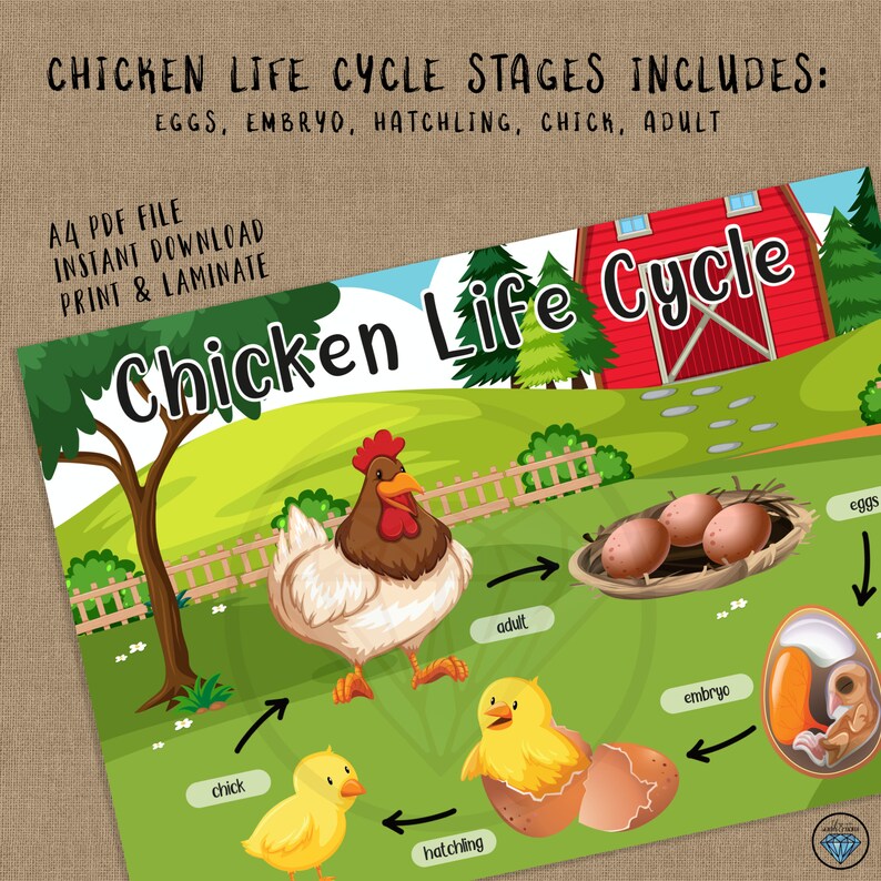Chicken Life Cycle, Preschool Printables, Busy Binder, Kindergarten ...