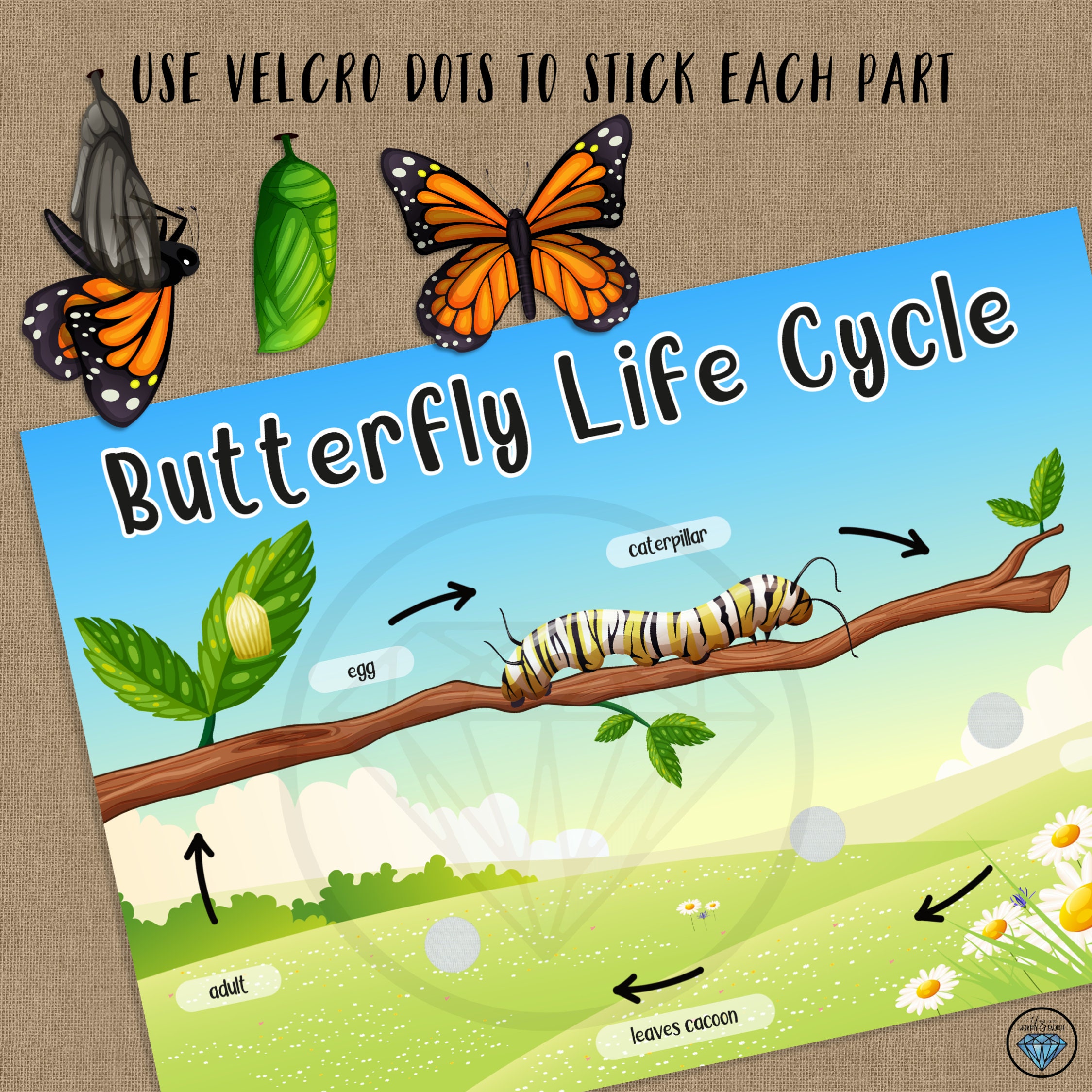 Butterfly Life Cycle Preschool Printables Busy Binder Etsy Canada