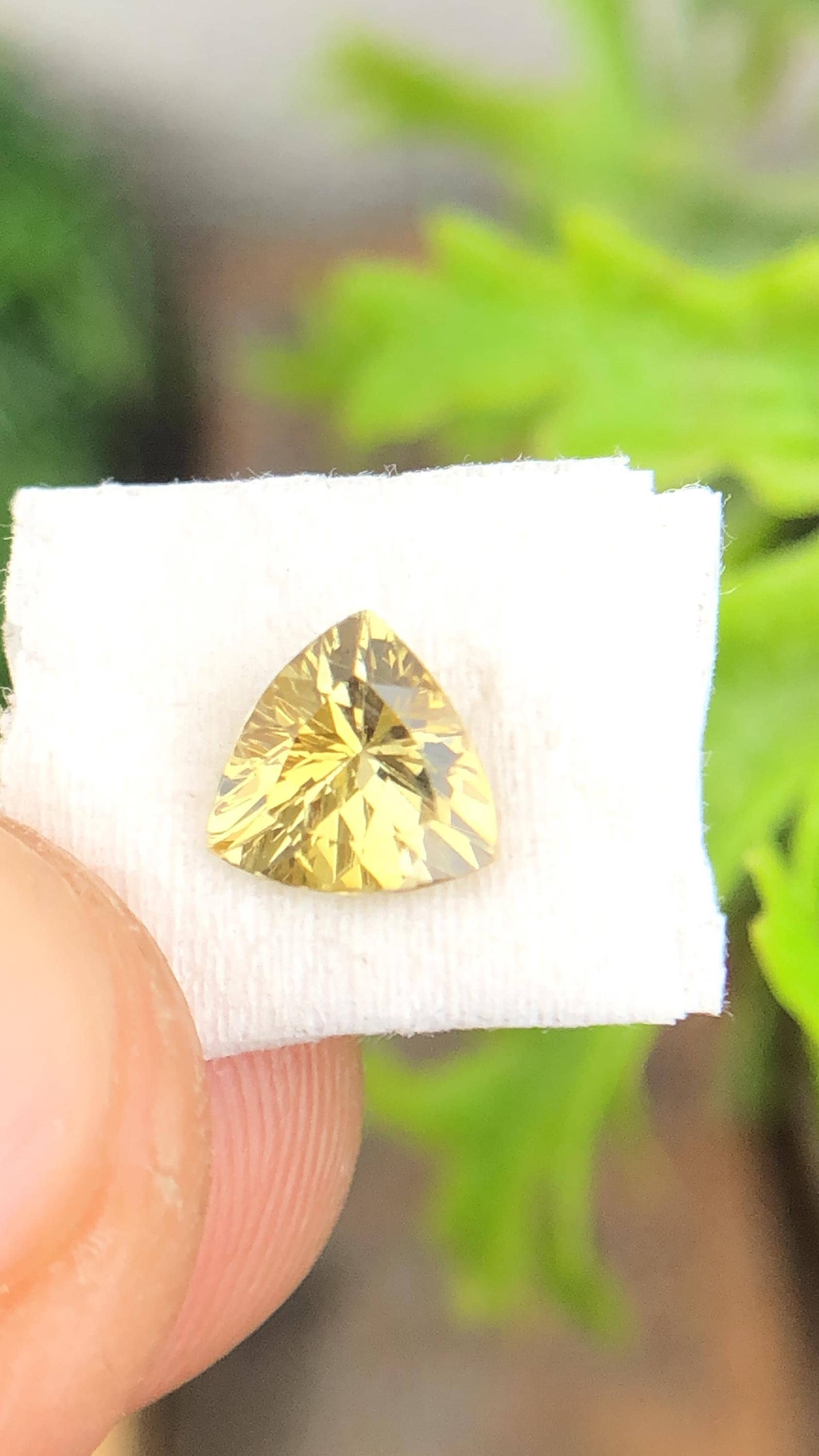 天然ゴールデンタンザナイト宝石、6 MM ルース最高品質のタンザナイト