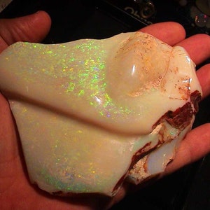 1390 Carat!! Larger Investment Gem White Opal + MUSCHEL GOLD-MULTICOLOR !