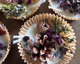 Wax Fire Starters: Campfire, Fireplace, Wood Stove - 6 Pack