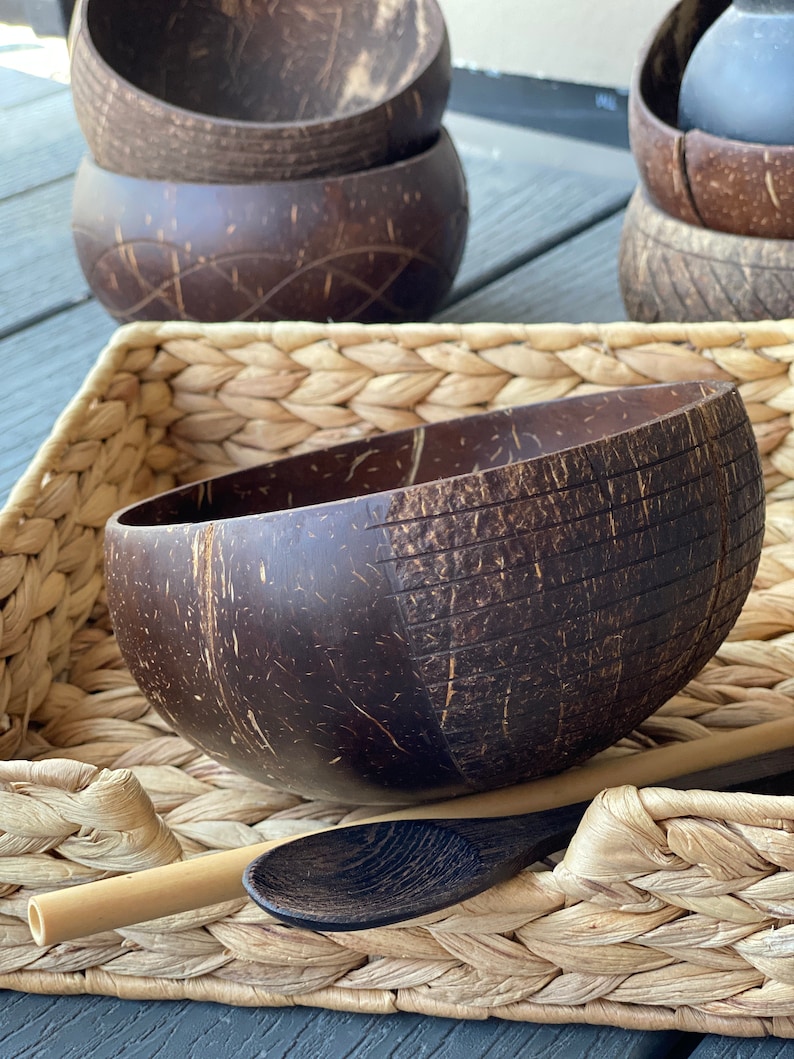 FREE Spoon Bamboo Straw REAL All natural coconut shell Etsy