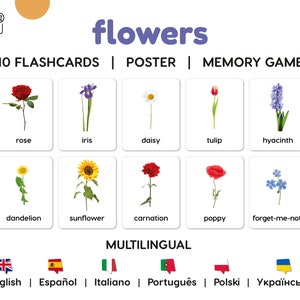 KWIATY (realistyczne zdjęcia) • 10 trójdzielnych wielojęzycznych kart Montessori  •  PDF do druku • Plakat i gra memory