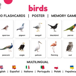 PÁSSAROS (fotos realísticas) • 10 Cartões Montessori multilíngues • Cartões de 3 partes imprimíveis • Poster e jogo da memória