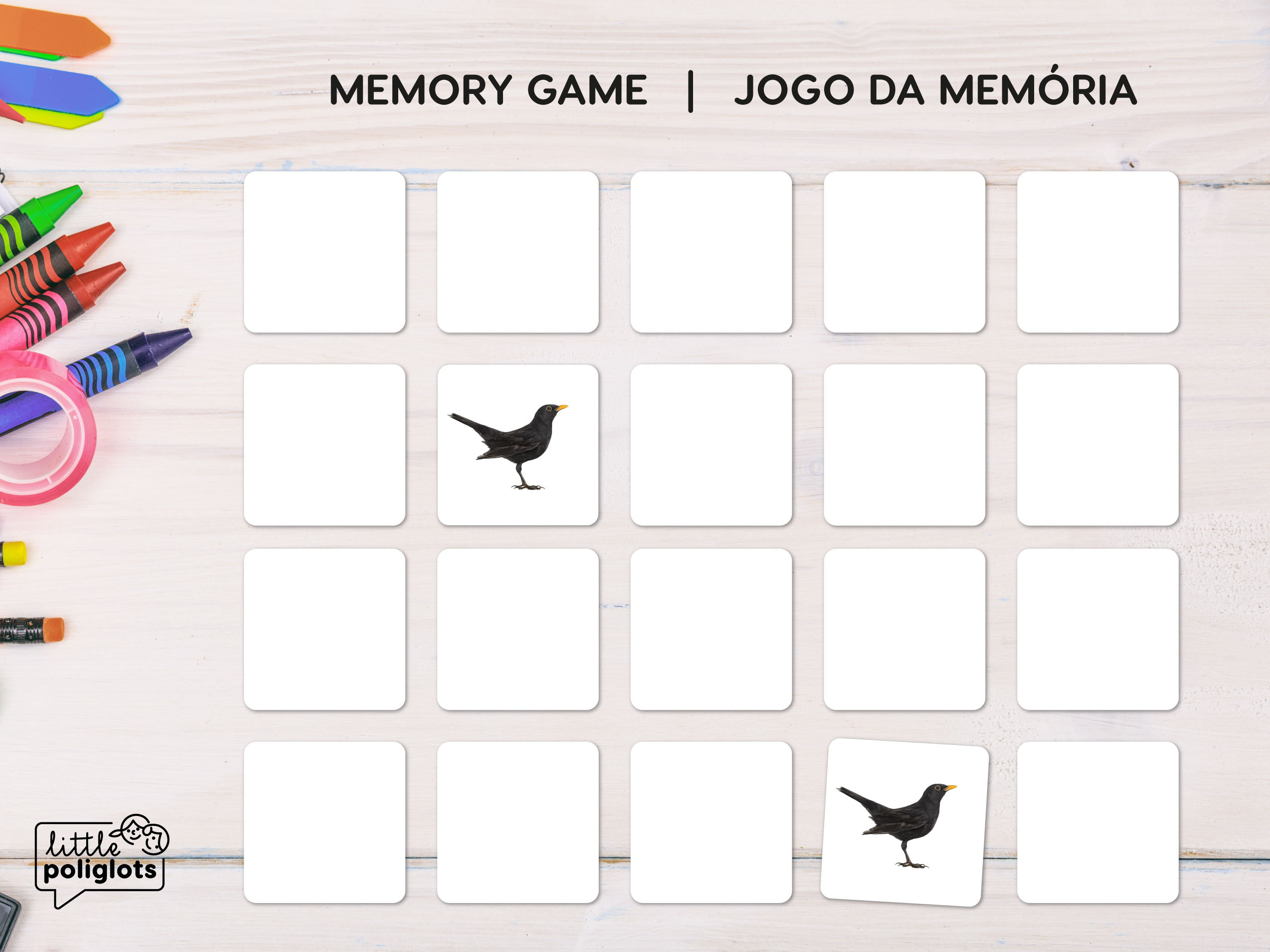 BIRDS Montessori 3-part Cards Multilingual and With Realistic Photos ...