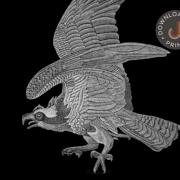 Osprey picture, Printable Wall Art, Black and White, DIGITAL DOWNLOAD. Beautiful for any decor.