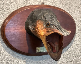 Mounted Fish Plaque 1950 Northern Pike