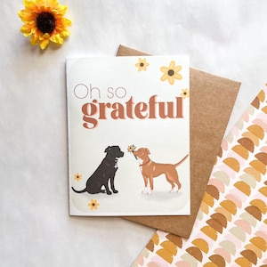 May include: A greeting card with a white background and the text "Oh so grateful" in brown lettering. Two dogs, one black and one brown, are depicted on the card, with the black dog holding a bouquet of yellow flowers and looking at the brown dog. The card is surrounded by a brown envelope and a patterned paper with yellow, orange, and pink semi-circles.