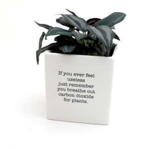 Funny planter, if you ever feel useless, encouragement, motivation, Get well soon