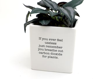 Funny planter, if you ever feel useless, encouragement, motivation, Get well soon