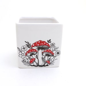 Mushroom planter, square container, get well soon gift